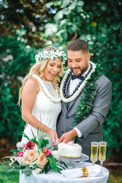 Newlyweds cutting their wedding cake