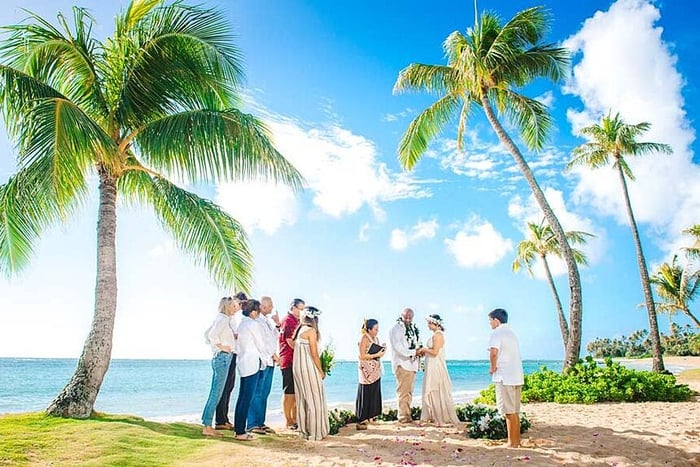 A beach wedding with a flower circle and eight guests