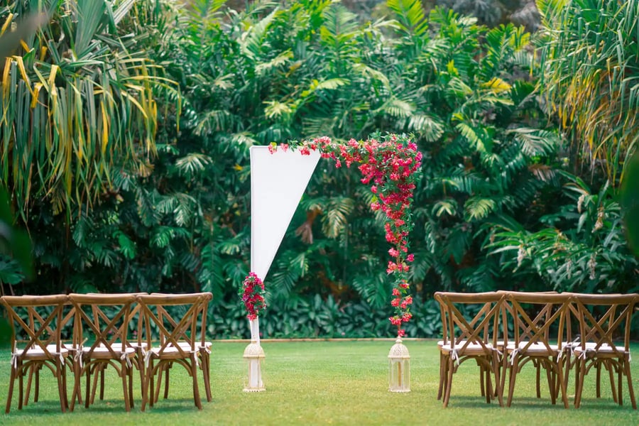 Bougainvillea-Arbor-1
