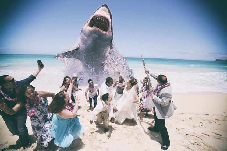 Hawaii-Wedding-with-a-Shark.jpg