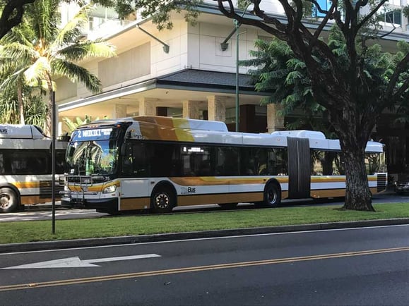 Honolulu-Bus.jpg