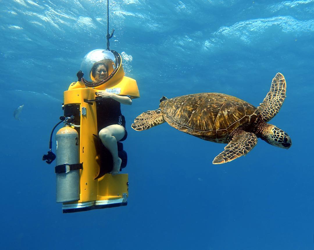 Island Water Sports Hawaii - Sub Scooter with Sea Turtle