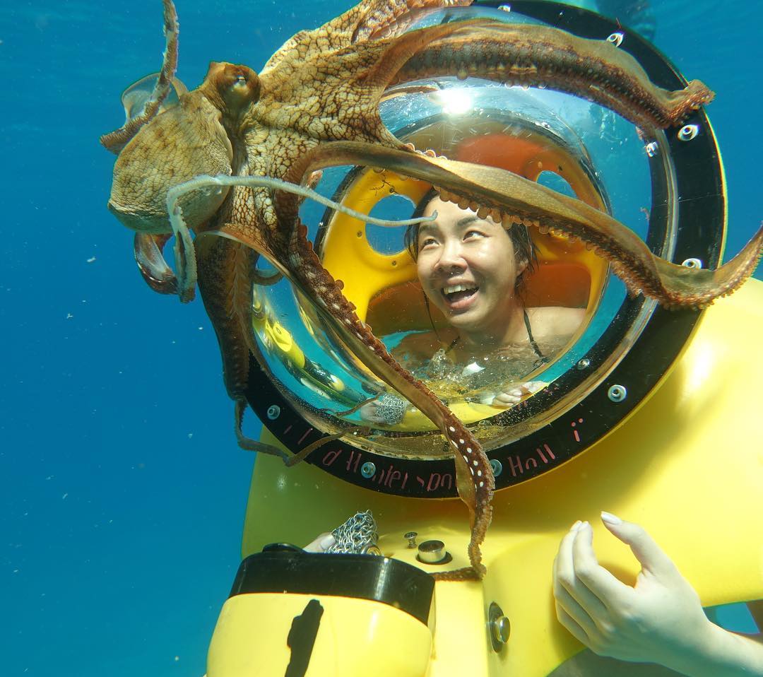 Island Water Sports Hawaii - Sub Scooters with Octopus