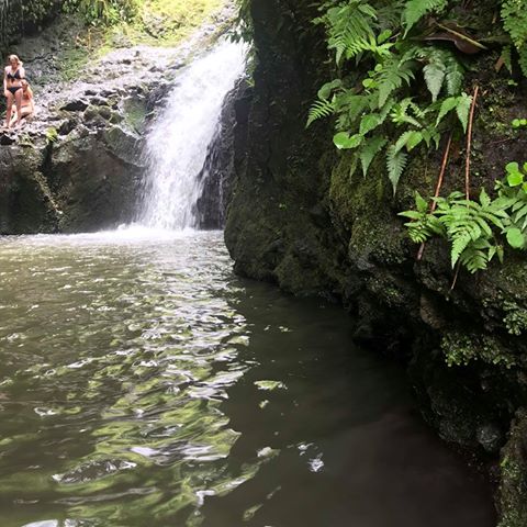 Manoa Falls Pool