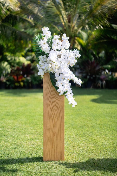 Orchid-Elegance-4