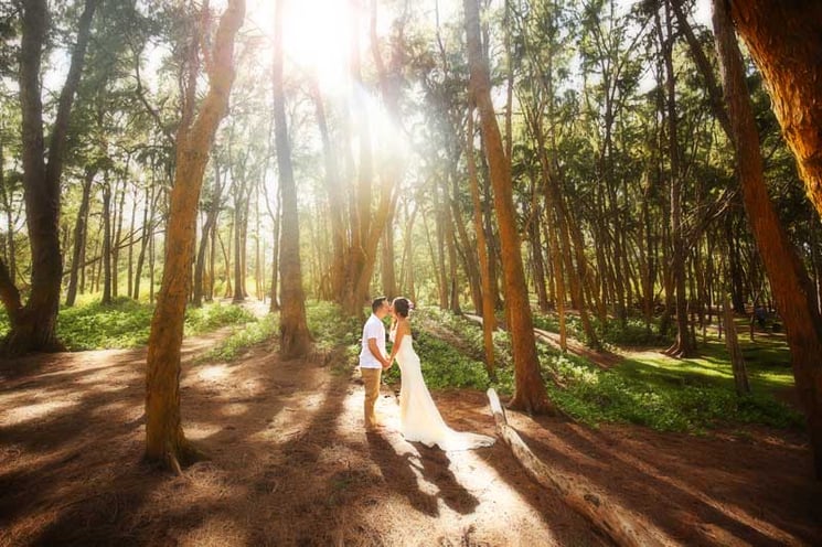 Sherwood-Forest-Wedding-Photo.jpg