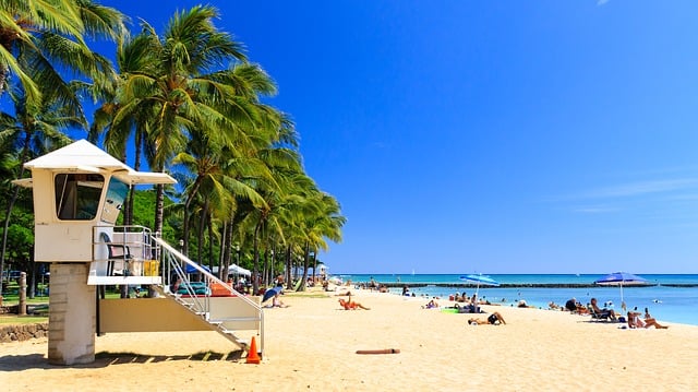 Waikiki Beach.jpg