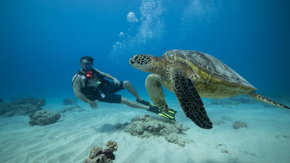 Dive Oahu scuba diving tour