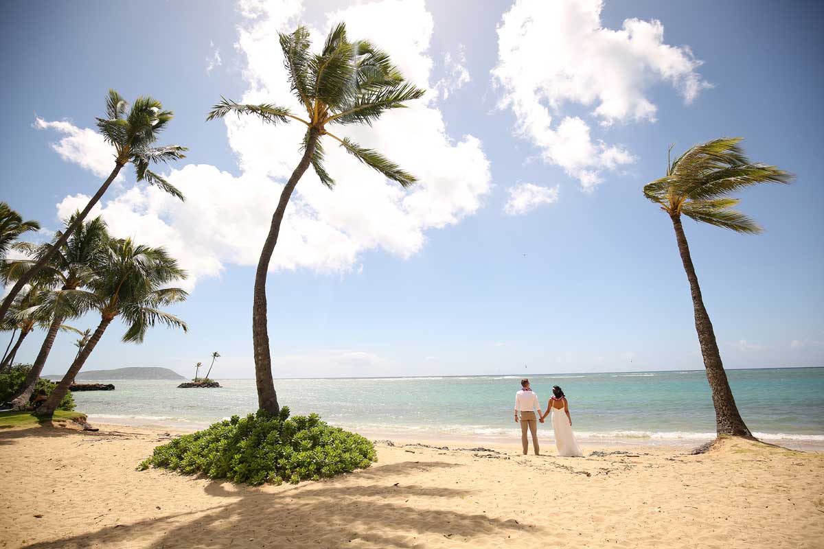 Palm trees at Waialae beach wedding in Hawaii 