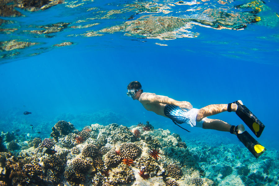 Ocean-Outfitters-Hawaii